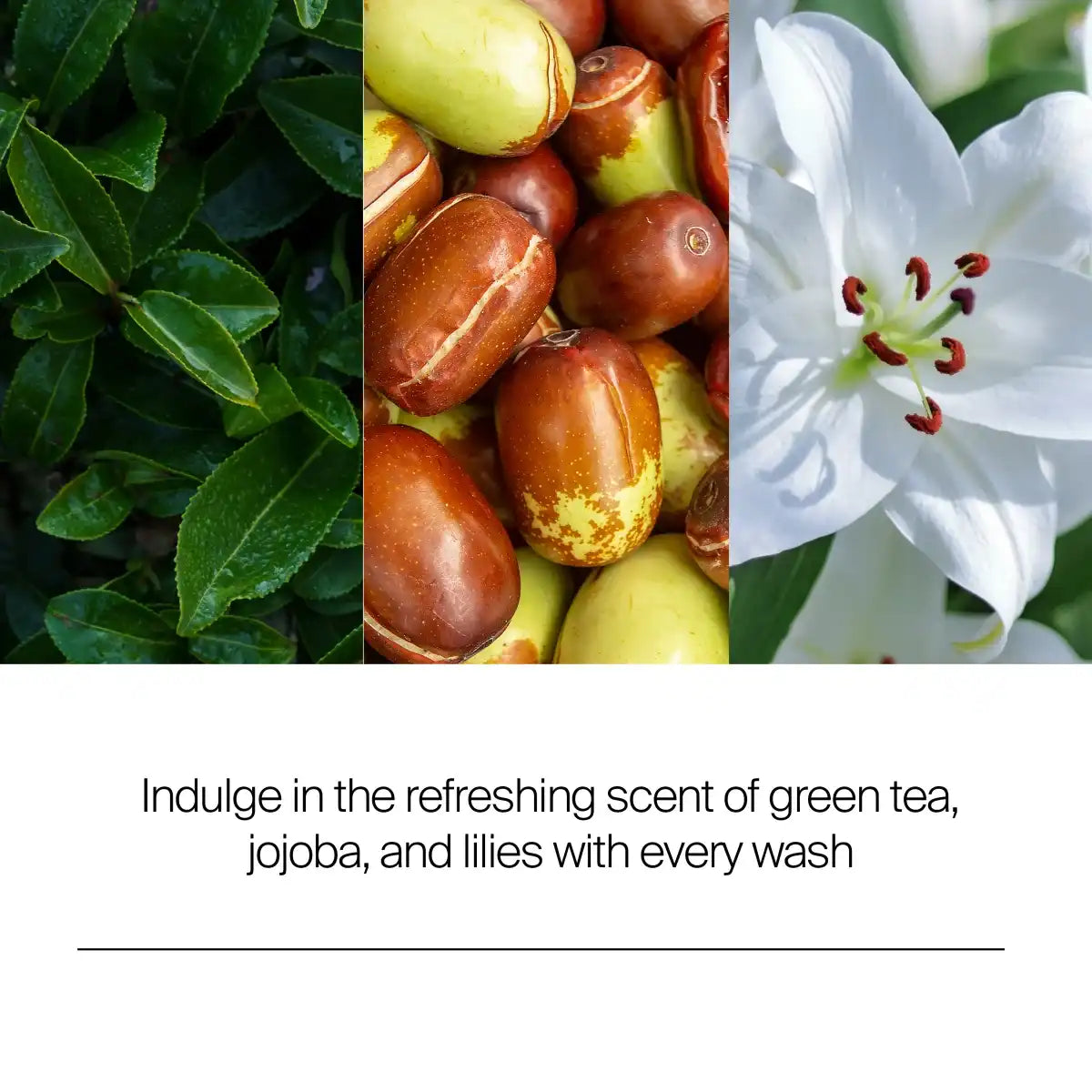  neutrogenahub.us.com