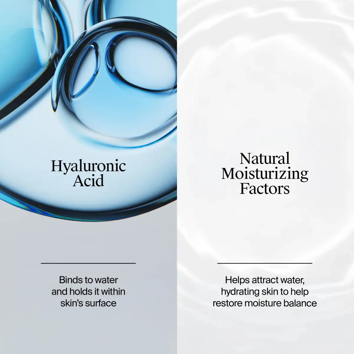  neutrogenahub.us.com